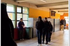 Captura-de-pantalla-2024-08-13-113356